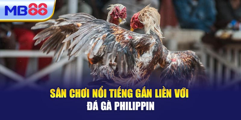 Sân Chơi Nổi Tiếng Gắn Liền Với Đá Gà Philippin