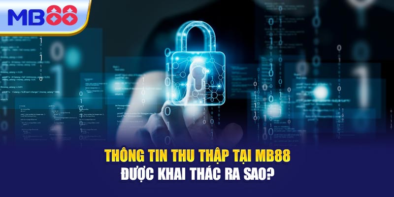 Thông Tin Thu Thập Tại MM88 Được Khai Thác Ra Sao? 