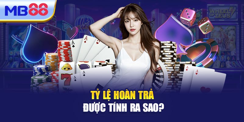 Tỷ Lệ Hoàn Trả Được Tính Ra Sao?